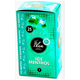 Karty aromatyzujące Blum Ice /25/ -zdjęcie numer 1