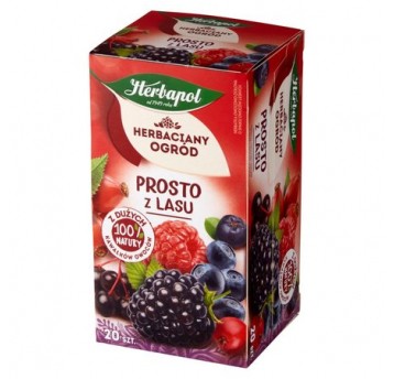 Herbapol Herbata Prosto z lasu 20 torebek