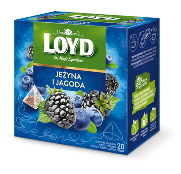 Herbata LOYD Piramidy Jagoda Jeżyna 2g * 20 torebe
