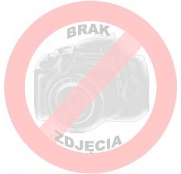 Karty aromatyzujące Blum Ice /25/