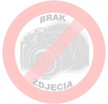 Karty aromatyzujące Blum Ice 25 szt